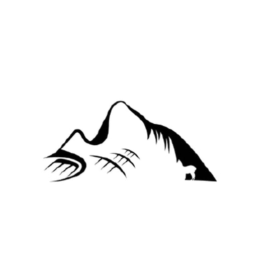 Emotonsbild