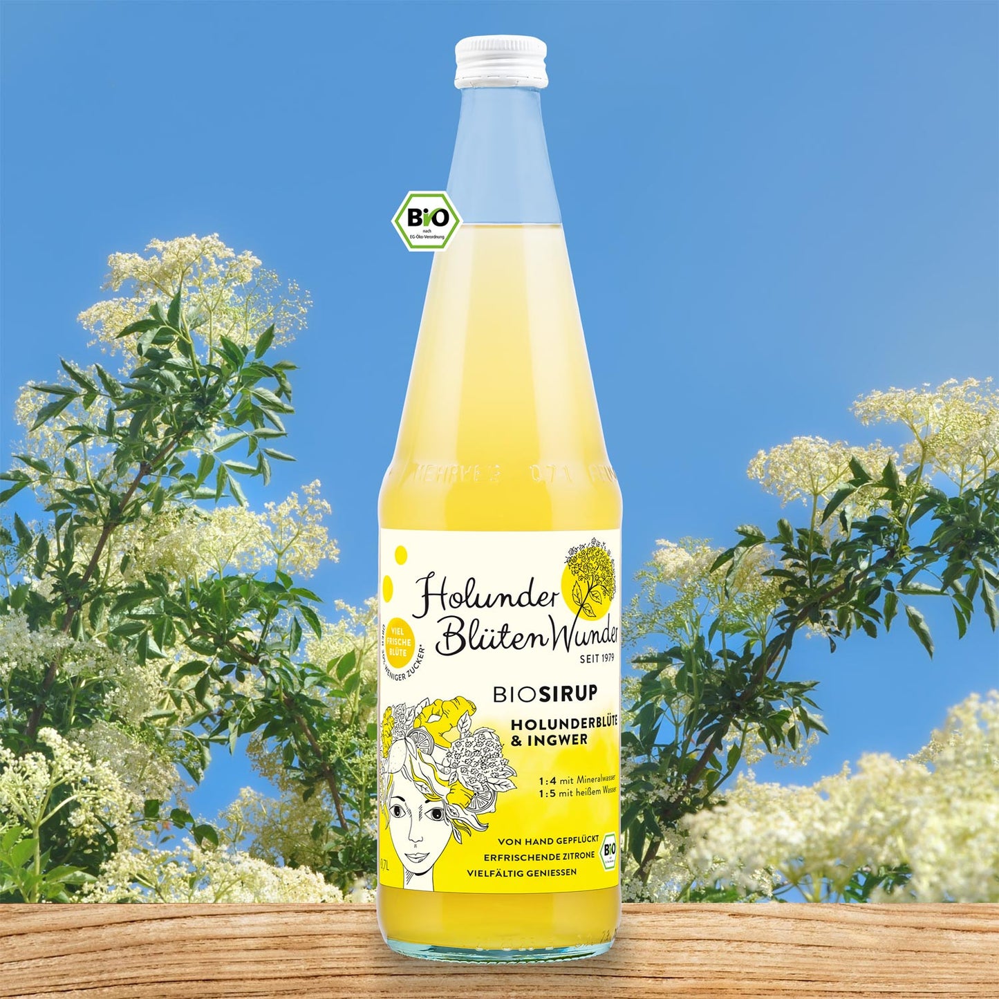 07l-flasche-holunder-ingwer-bio_web_md_01