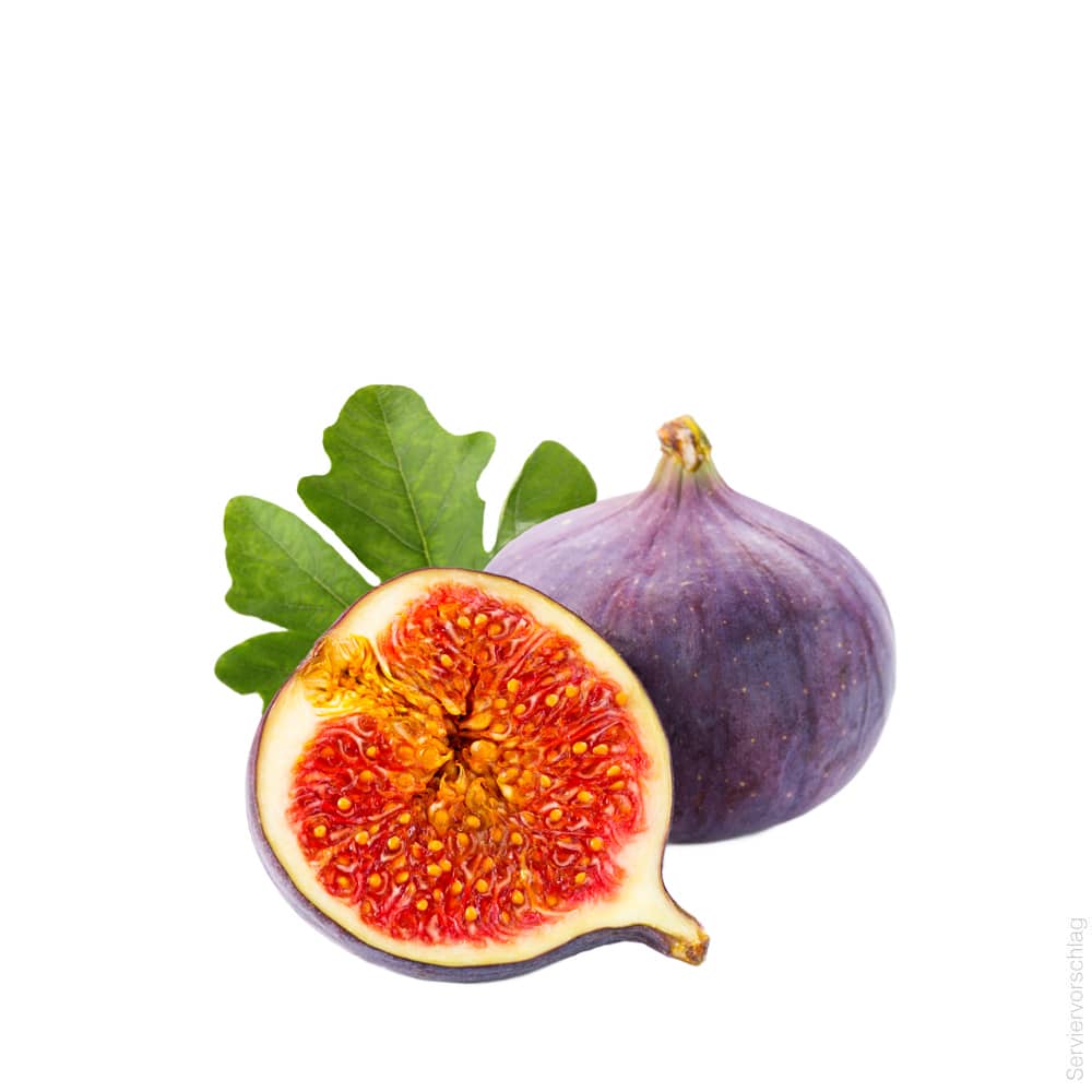 feigen_emo_web_md_01