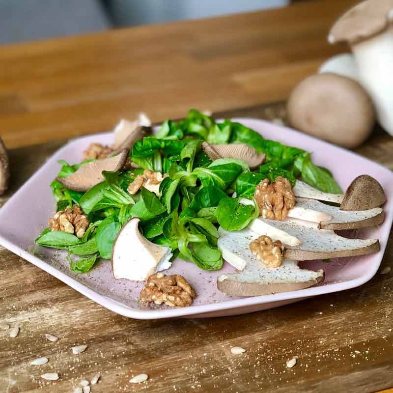 Frischer Walnuss-Pilz Salat