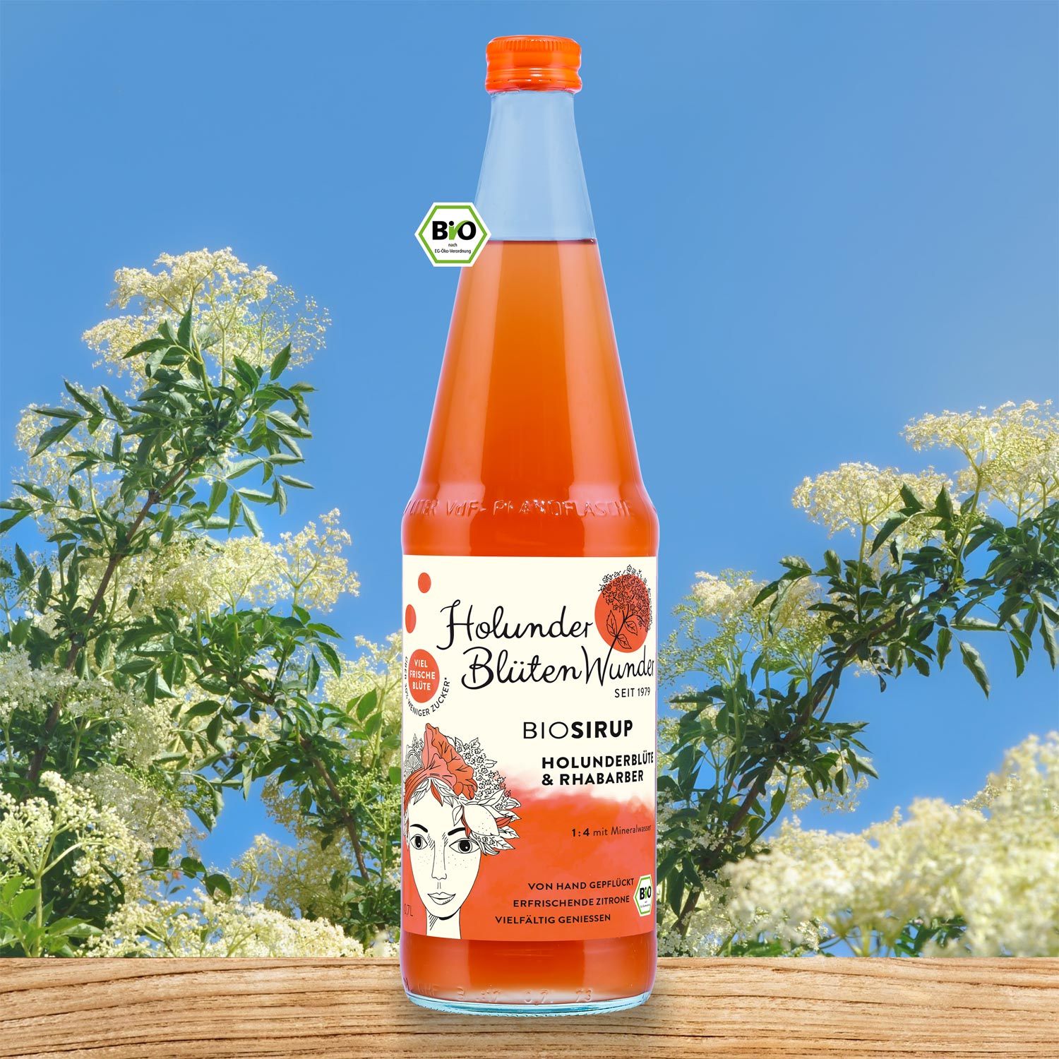 Holundersirup