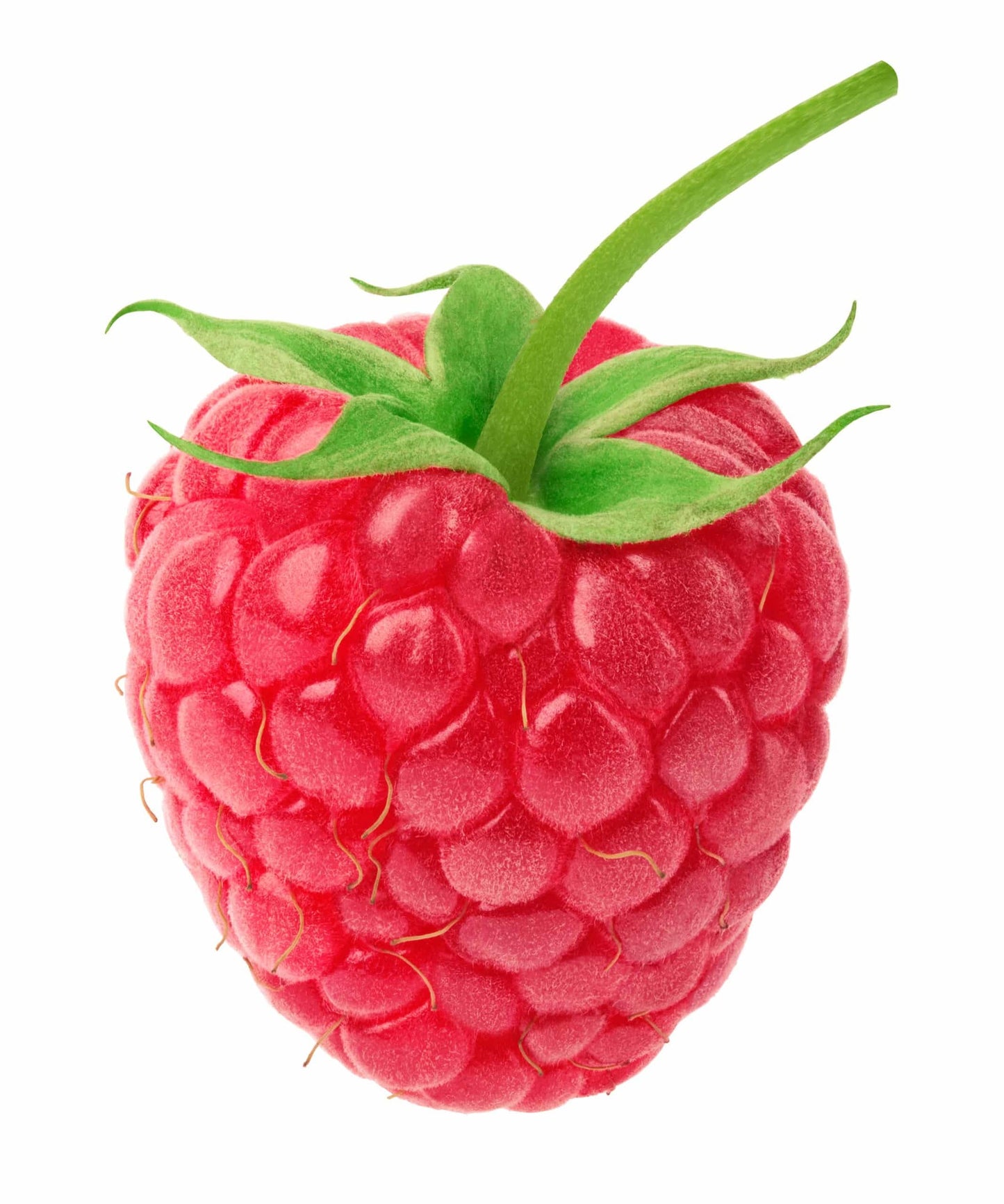Himbeere-shutterstock_1023418957