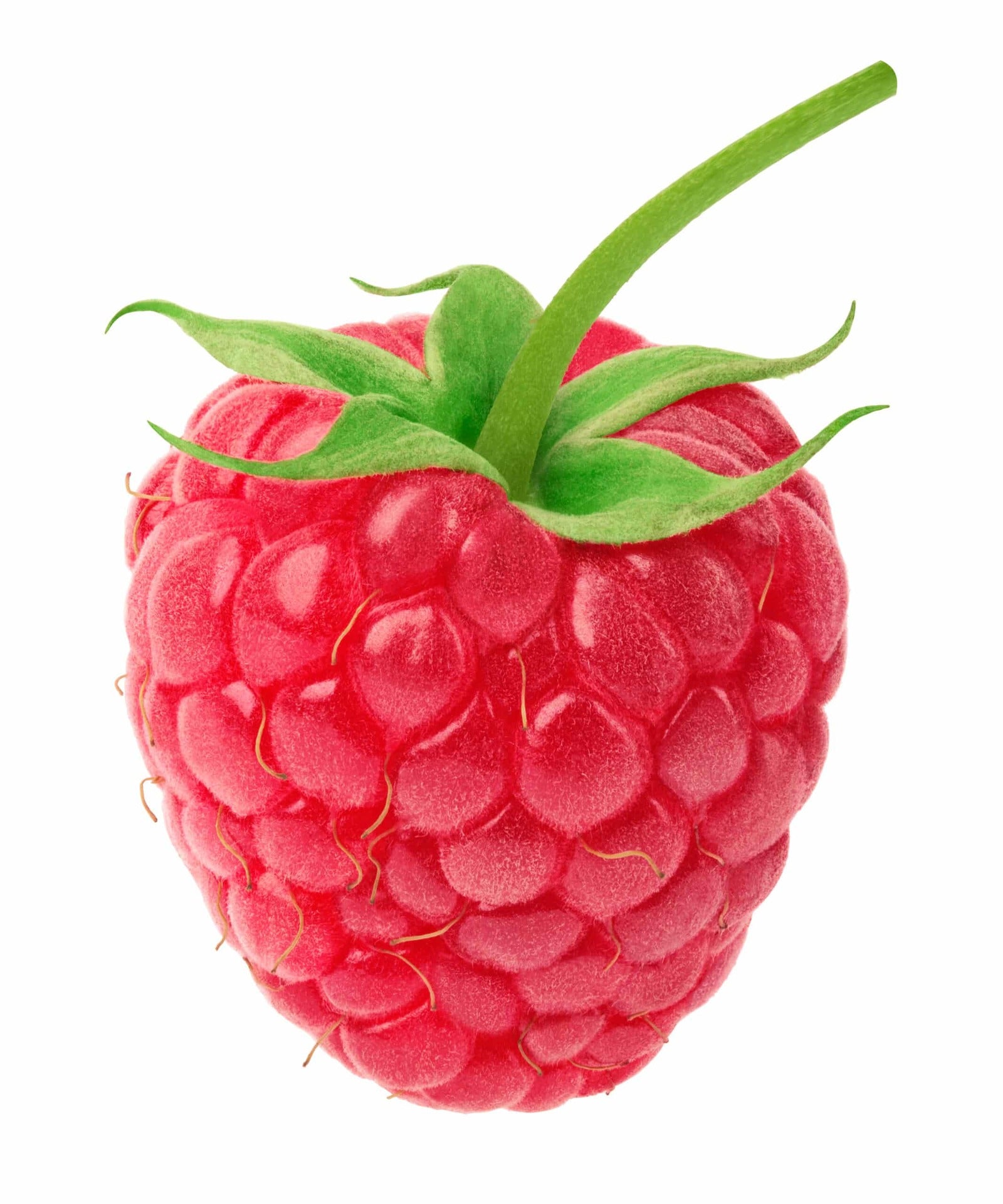 Himbeere-shutterstock_1023418957