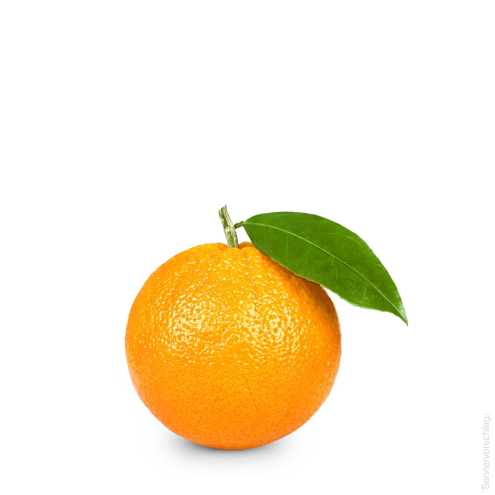 orangen_vanille_likoer_100ml_emotion_orange_web_ah_05