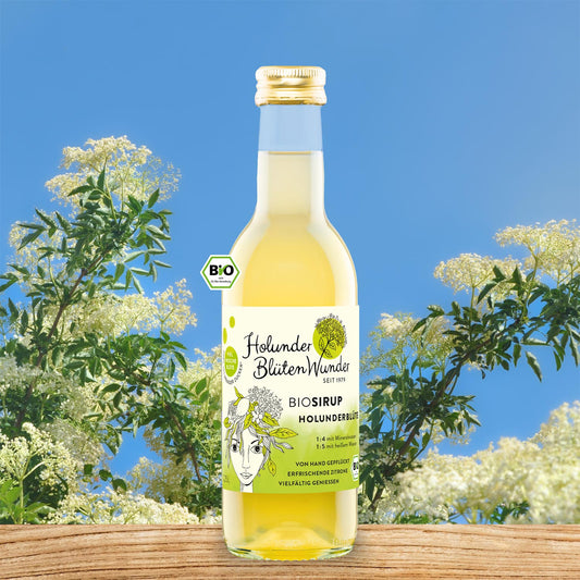 025l-flasche-holunderbluete-bio_web_md_01