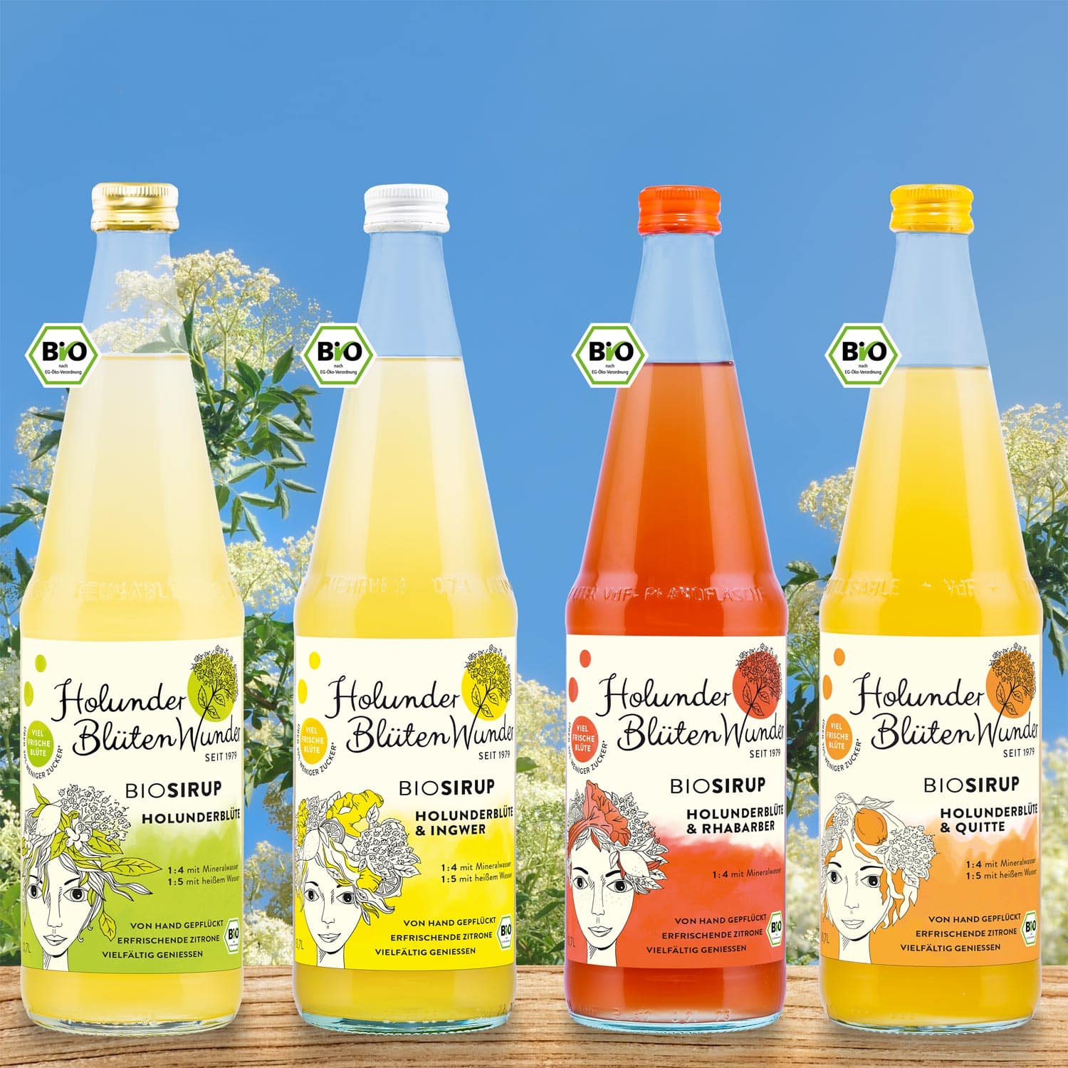 07l-flasche-4-sorten-holunder-bio_web_md_01
