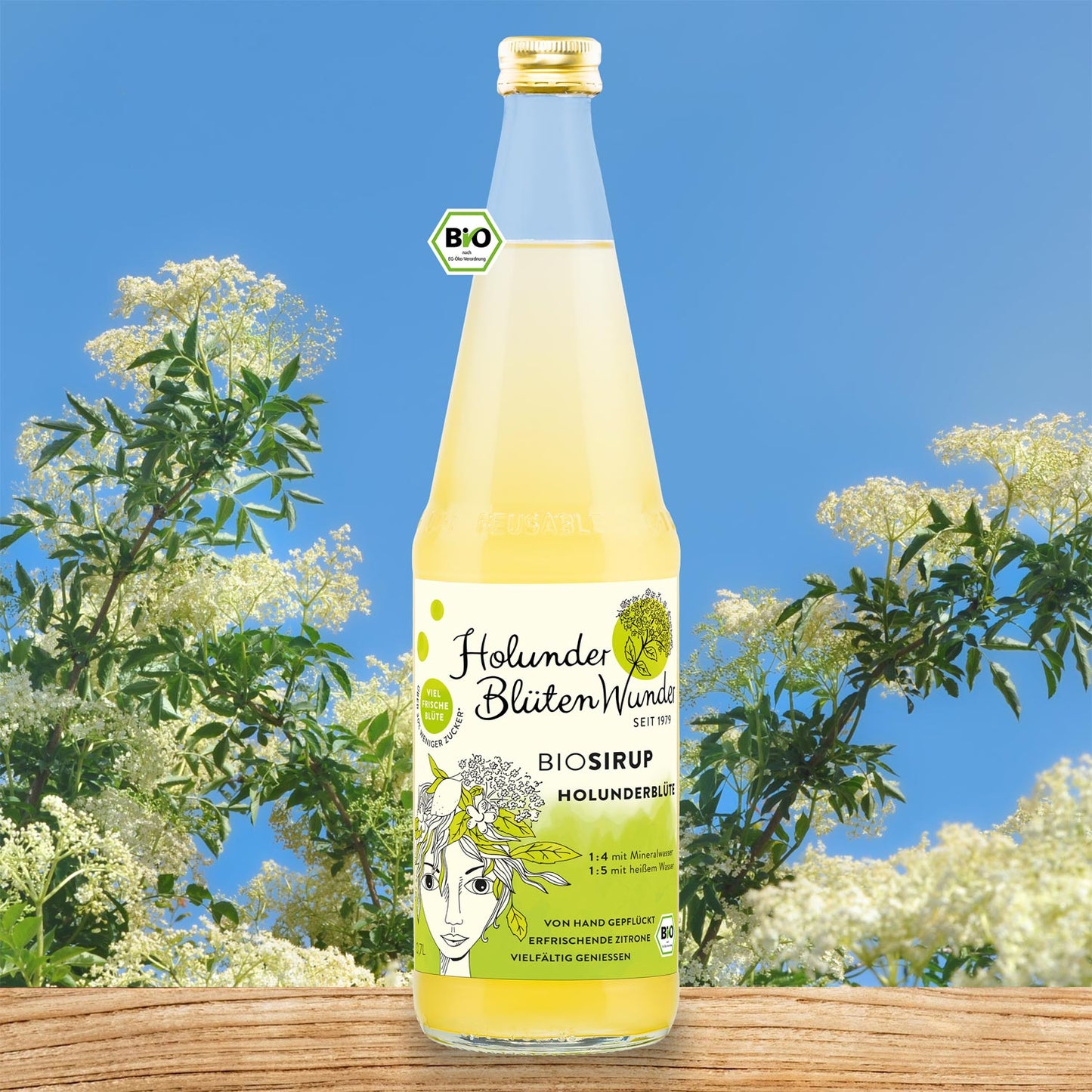 07l-flasche-holunderbluete-bio_web_md_01