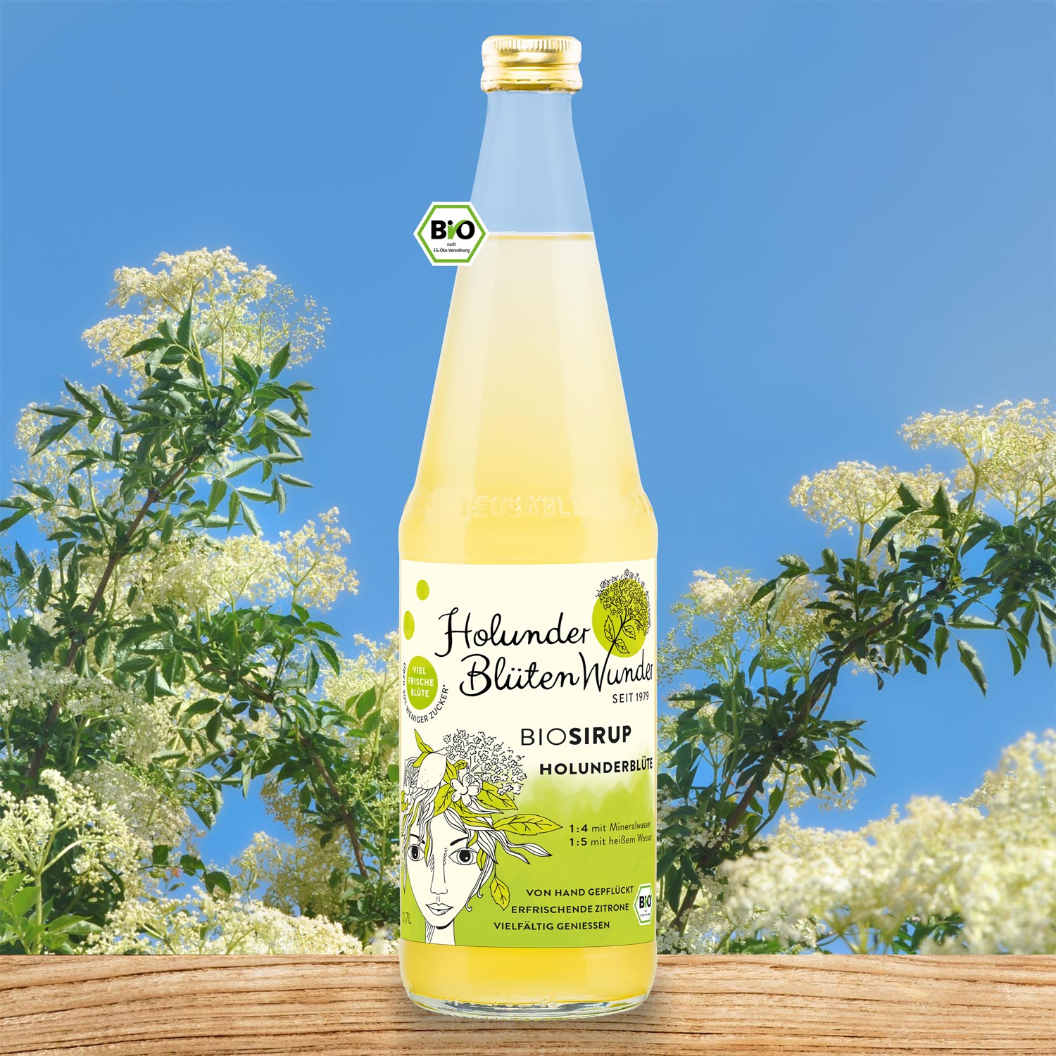 07l-flasche-holunderbluete-bio_web_md_01