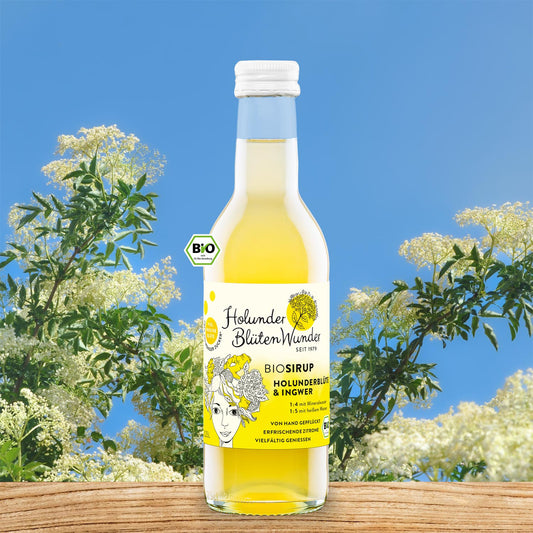 025l-flasche-holunder-ingwer-bio_web_md_01