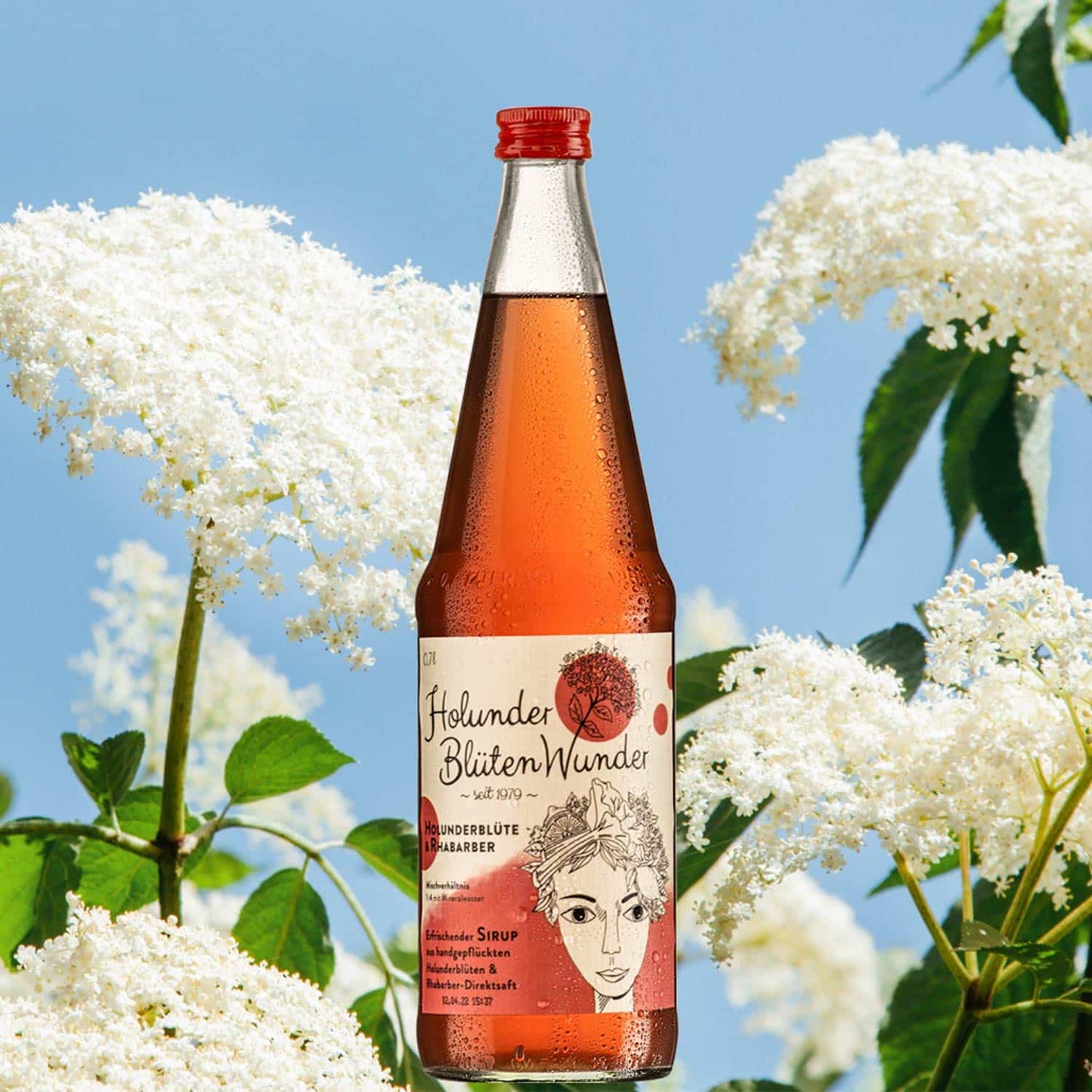 Bio-Rhabarber-Holunderblüte 0,7L HolunderBlütenWunder-Sirup