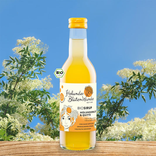 025l-flasche-holunder-quitte-bio_web_md_01