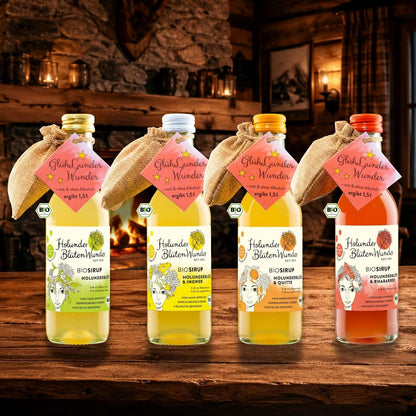 025l-flasche-4sorten-holunder-gluehlunder-bio_web_nd_01