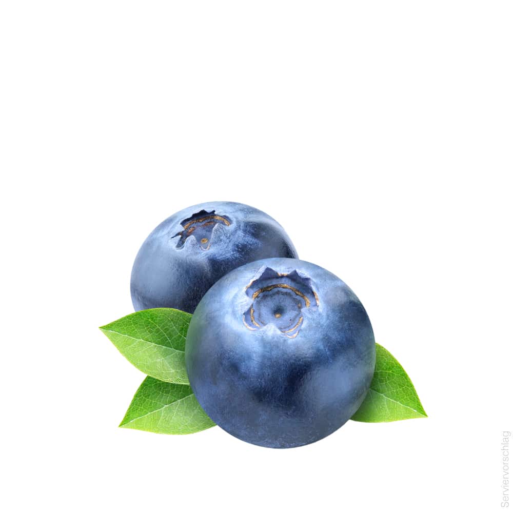 Fruchtaufstrich Heidelbeeren Vanille Sahne