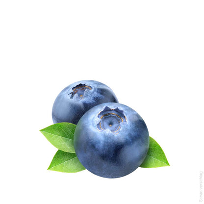 Fruchtaufstrich Heidelbeeren Vanille Sahne