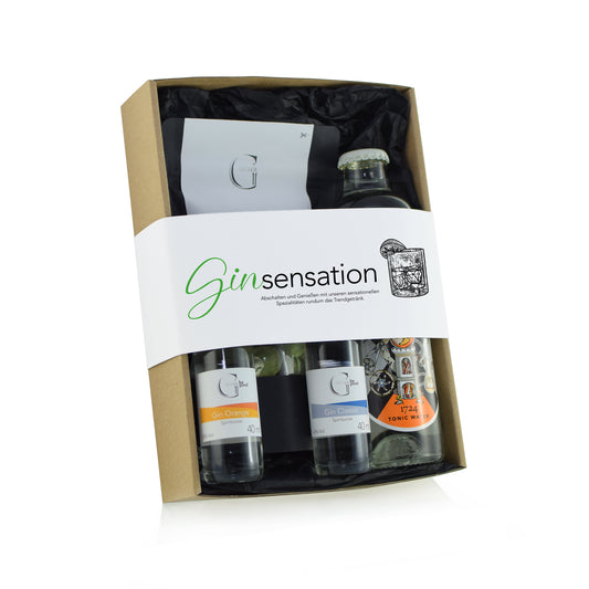 Gin Geschenkset mit zwei Gin-Sorten, Tonic Water und Wasabi Erdnüsse im Geschenkkarton