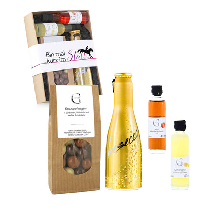 Hochwertiges Reiter-Geschenkset von Genial Genießen mit prickelndem Frizzante, fruchtigen Likören und süßen Knusperkugeln für entspannte Genussmomente im Stall oder zuhause.