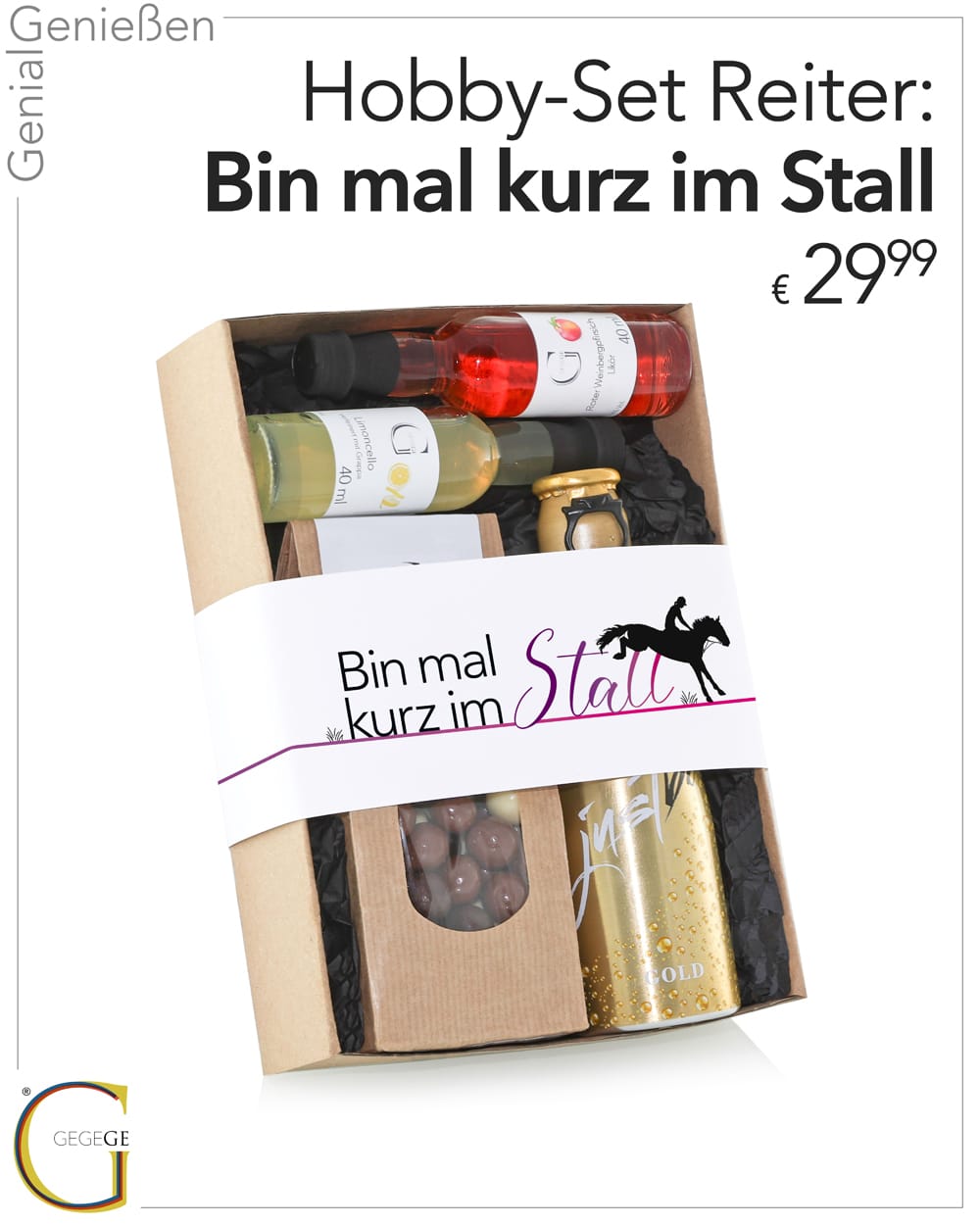 Hobby-Set Bin mal kurz im Stall - Reiter